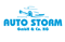 Logo Auto Storm GmbH & Co. KG